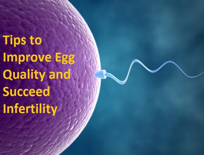 Tips to Improve Egg Quality and Succeed Infertility